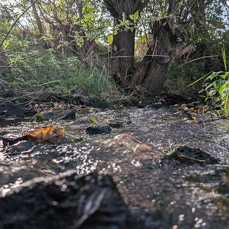 Ferienwohnungen Satkula Crostwitz Dış mekan fotoğraf